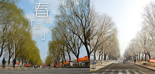 辽宁工程职业学院-我的大學，我的流金歲月