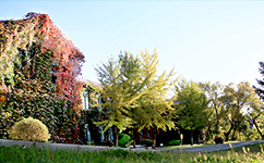 文化标识：校名题写 / 校徽设计