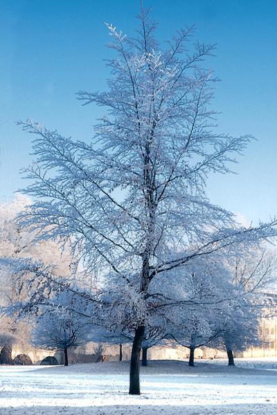 鞍山职业技术学院