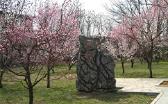 辽宁农业职业技术学院 - 我的大学