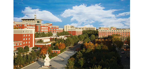 我的大學-大学志