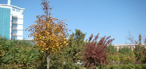 长春职业技术大学