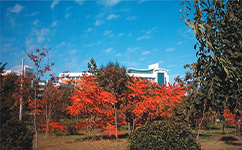 长春职业技术大学 - 我的大学