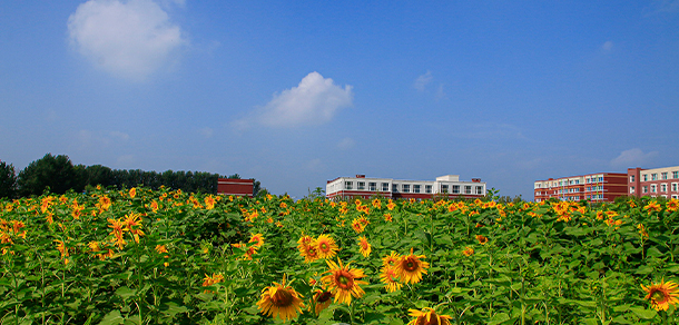 长春早期教育职业学院 - 最美院校