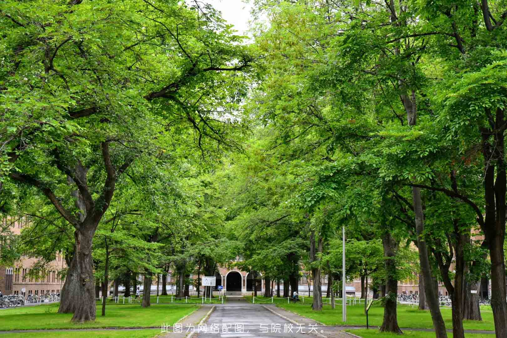 齐齐哈尔大学-校园风景
