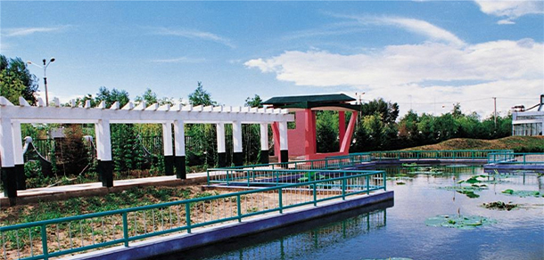 大庆师范学院 - 最美大学