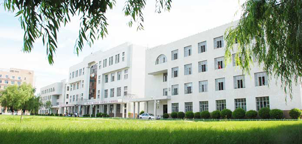 我的大學-大學志