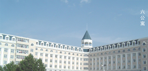 我的大學-大學志