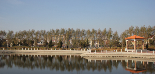 我的大學-大學志