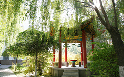 历史沿革（概）校史