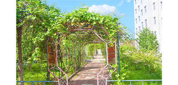 黑龙江工程学院 - 最美大学