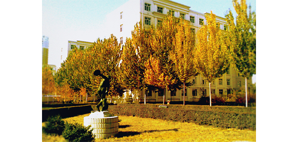 黑龙江工程学院 - 最美大学
