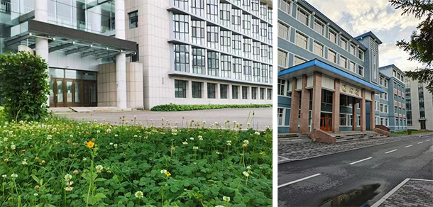 伊春职业学院 - 最美大学