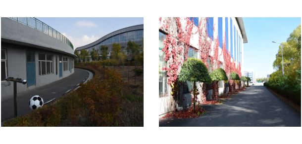 七台河职业学院 - 最美大学