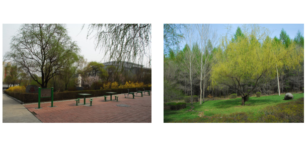 七台河职业学院 - 最美大学