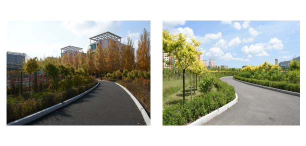 七台河职业学院 - 最美大学