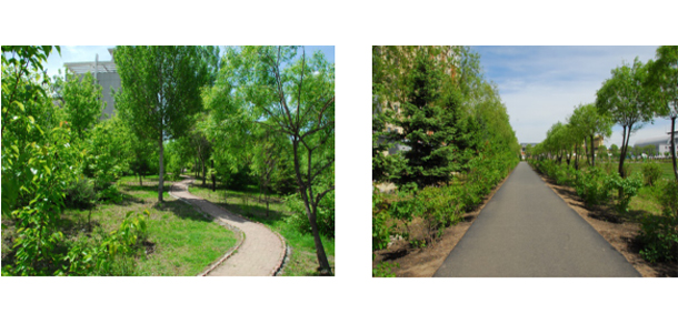 七台河职业学院 - 最美大学