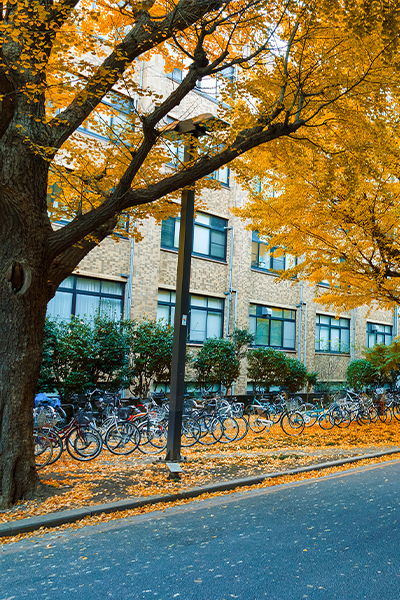黑龙江民族职业学院