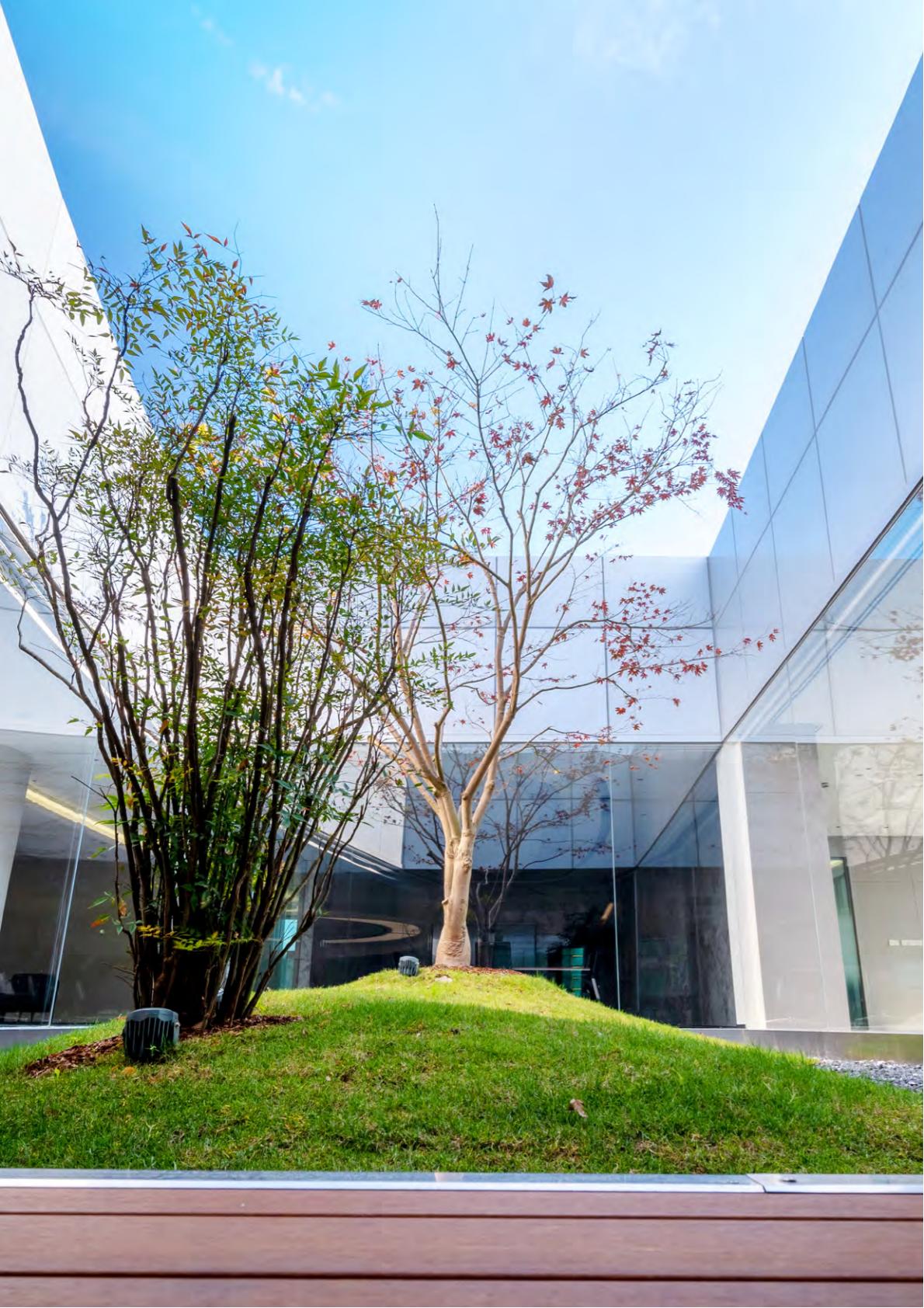 上海外国语大学贤达经济人文学院－2022年秋季招生简章